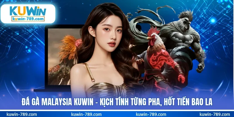 Đá Gà Malaysia KUWIN - Kịch Tính Từng Pha, Hốt Tiền Bao La
