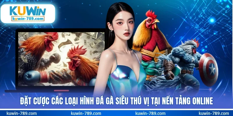 Đặt cược các loại hình đá gà siêu thú vị tại nền tảng online