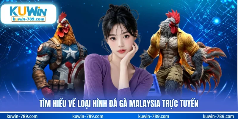 Tìm hiểu về loại hình đá gà Malaysia trực tuyến